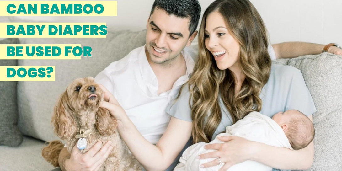Eco-Friendly Elegance: Can Baby Bamboo Diapers Be a Chic Choice for Your Canine Companion?