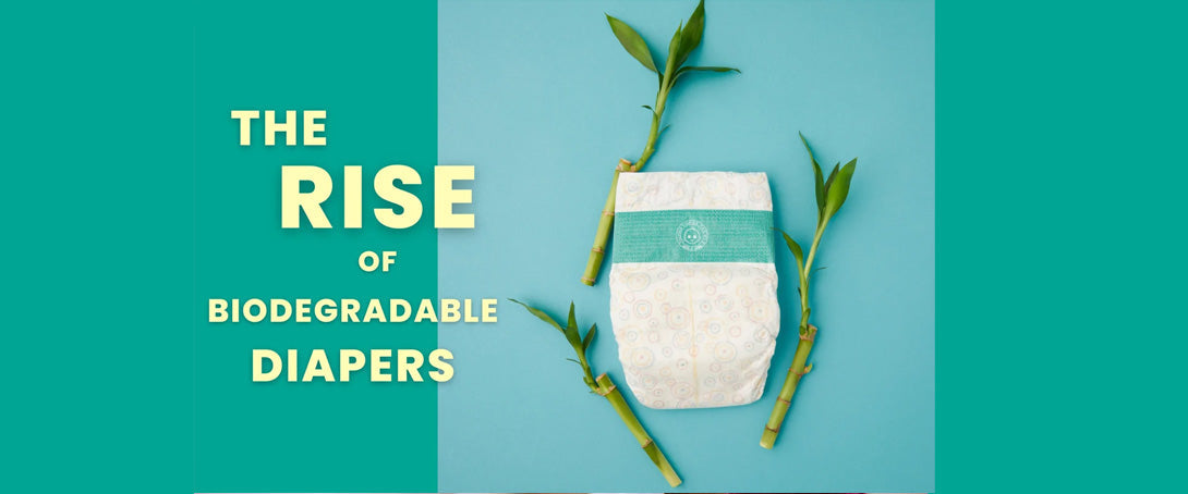 Bamboo Diapers: A Sustainable Choice for a Greener Tomorrow