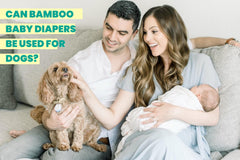 Eco-Friendly Elegance: Can Baby Bamboo Diapers Be a Chic Choice for Your Canine Companion?