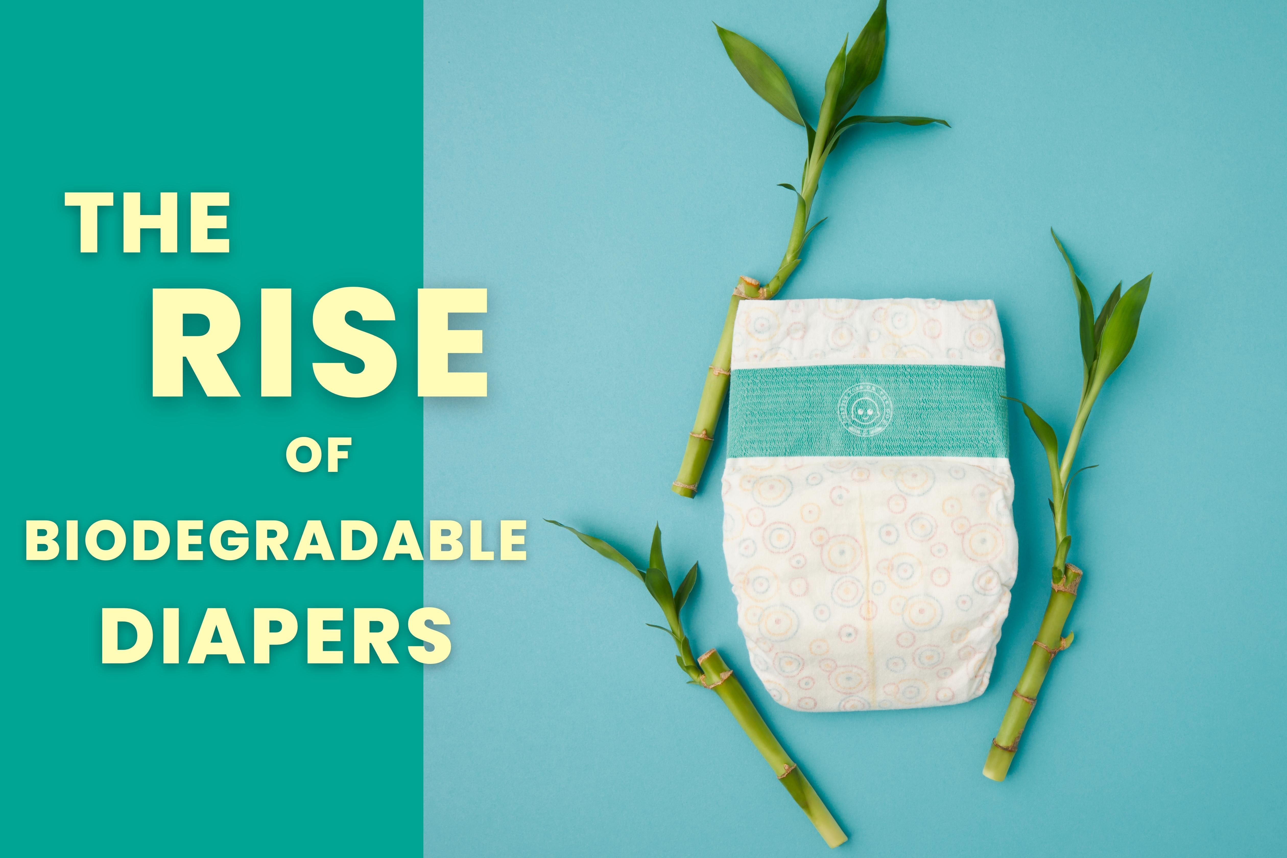 Bamboo Diapers: A Sustainable Choice for a Greener Tomorrow